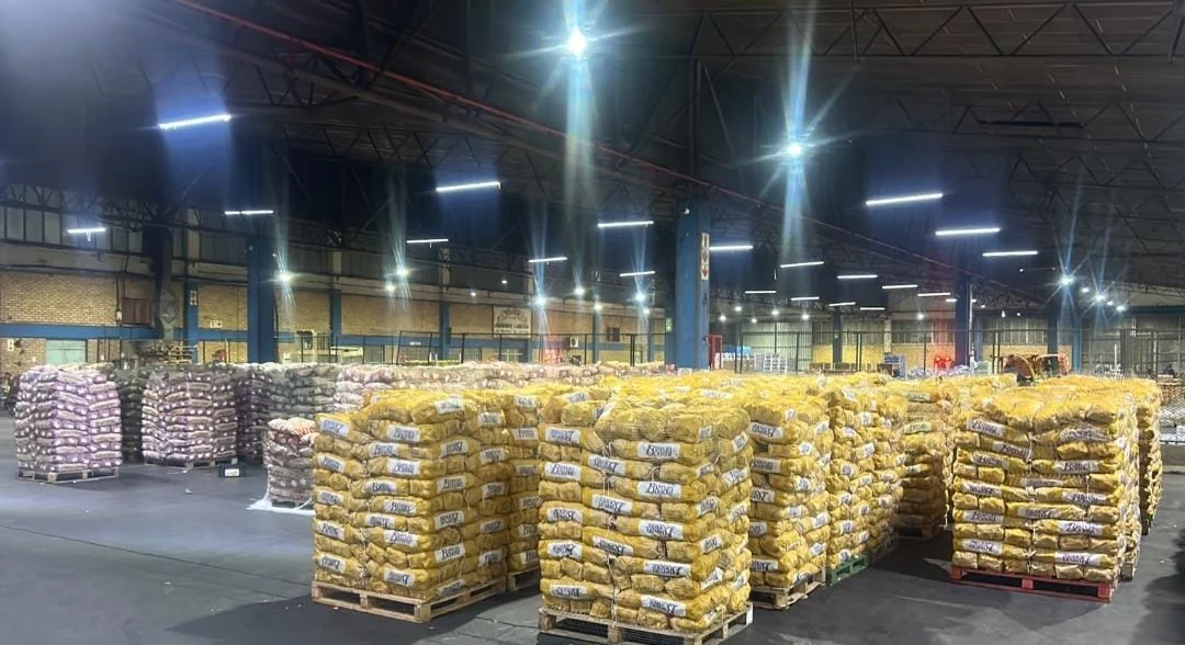 Fresh potatoes packed in wholesale bags ready for bulk delivery